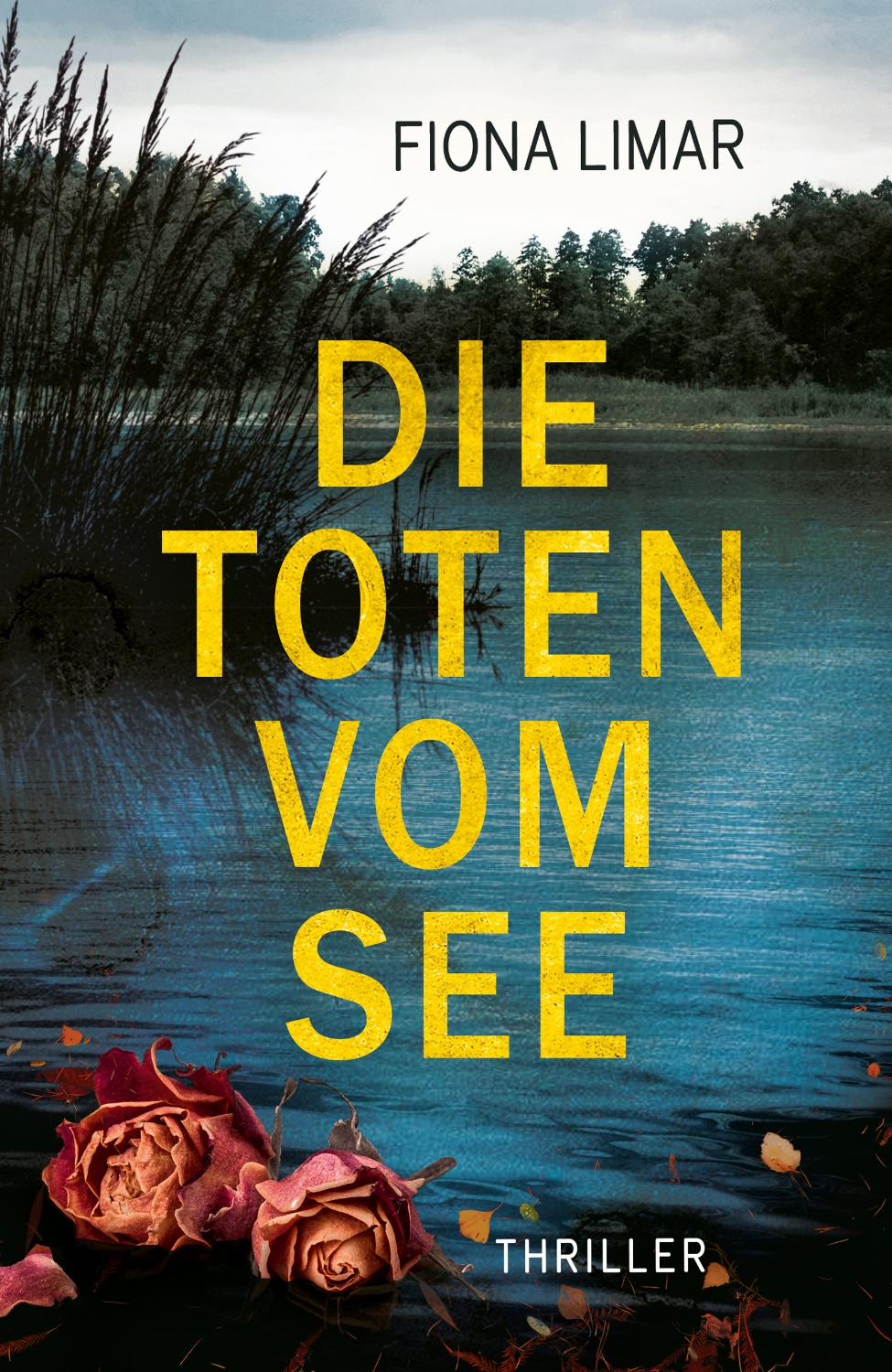 Buchcover Design Thriller Die Toten vom See Fiona Limar
