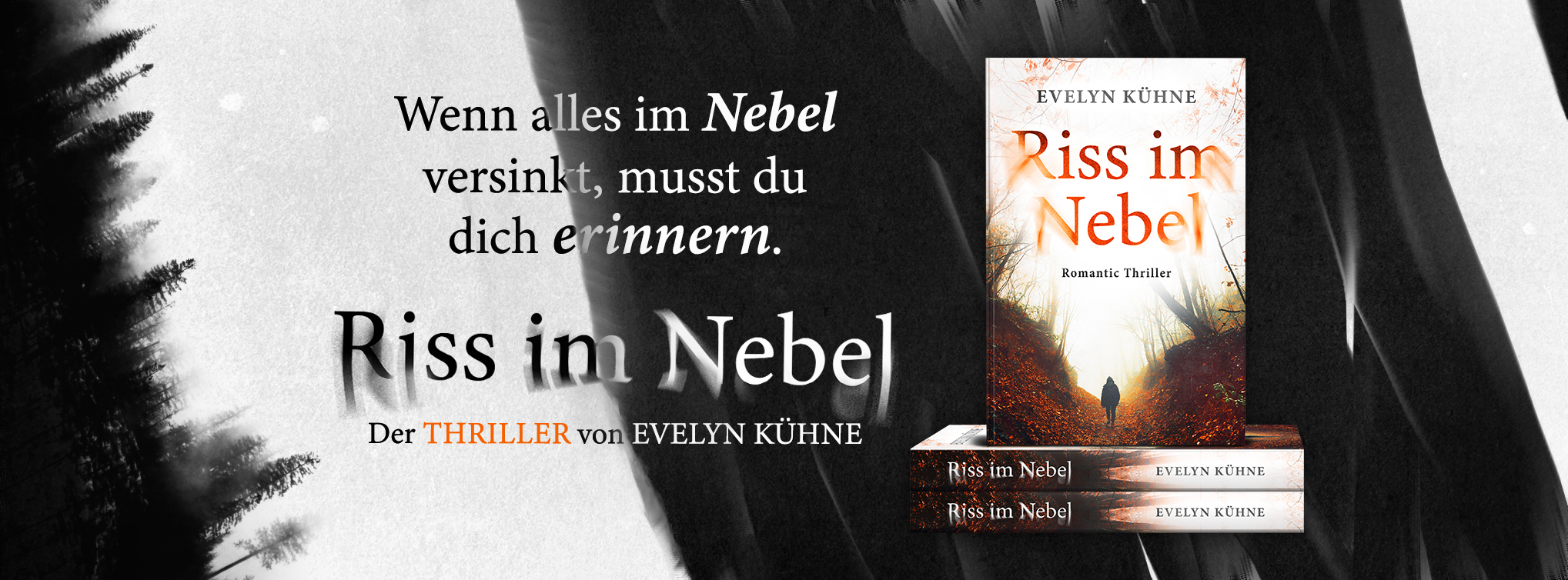 Web Banner Facebook Romantic Thriller Riss im Nebel von Evelyn Kühne