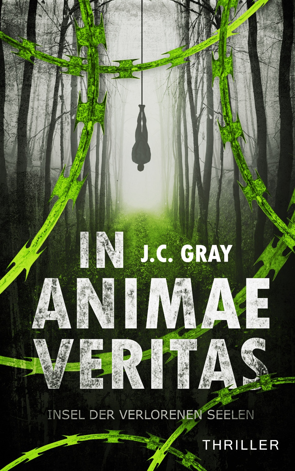 Buchcover Design Thriller In Animae Veritas Insel der verlorenen Seelen von J. C. Gray